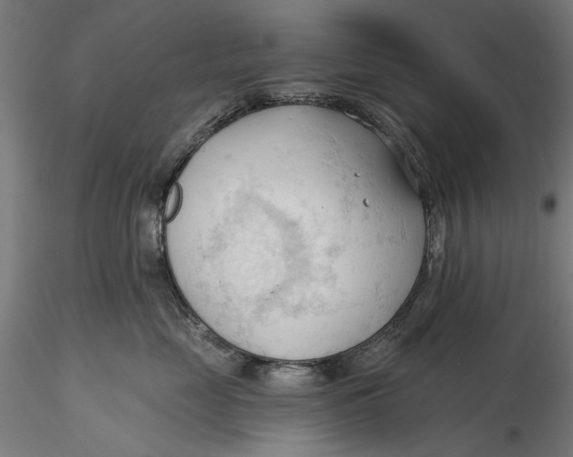 X0000116320669200912221400