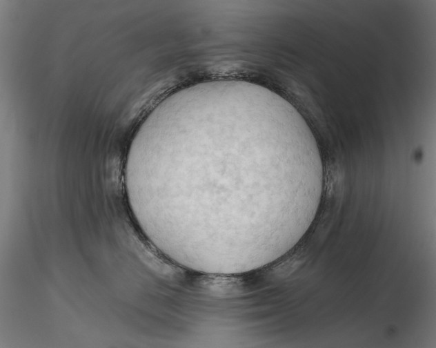 X0000116320670200912221400