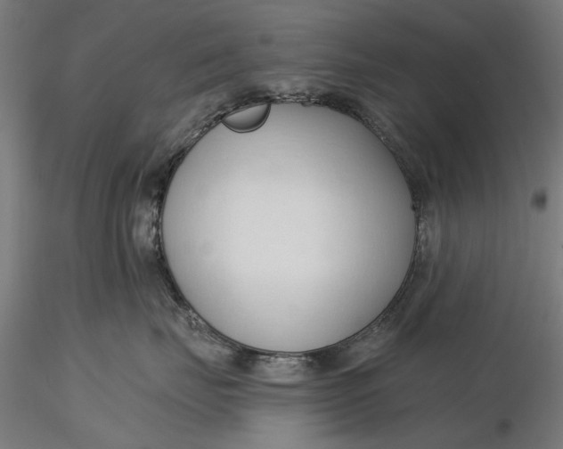 X0000116320671200912221400