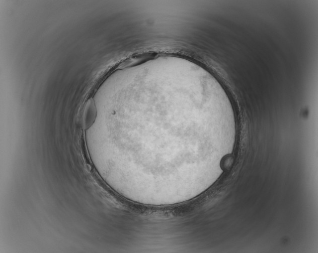 X0000116320673200912221359