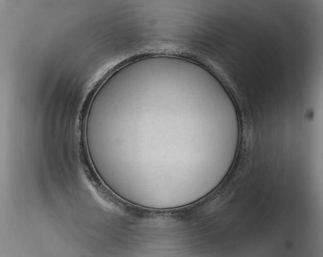 X0000116320674200912221359