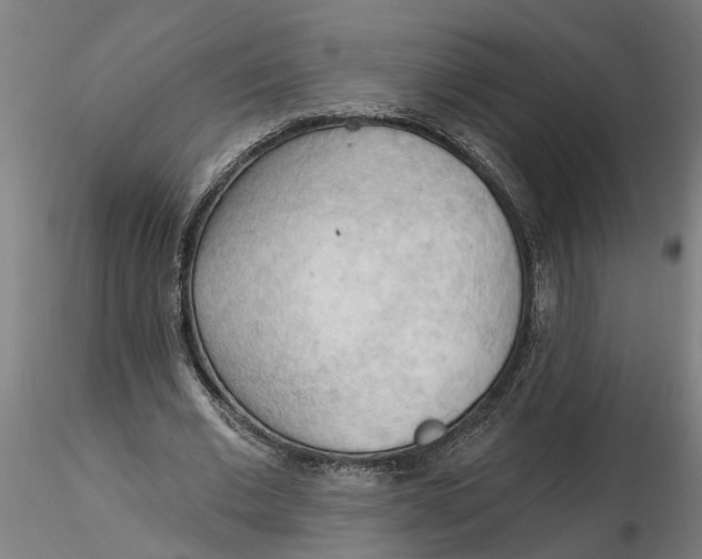 X0000116320677200912221359