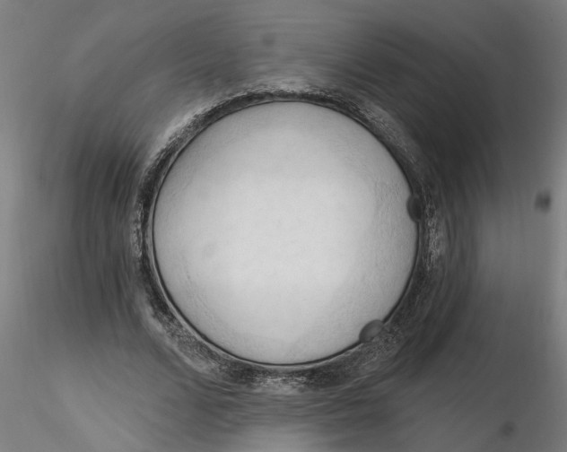 X0000116320680200912221359