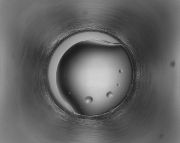 X0000116320681200912221359