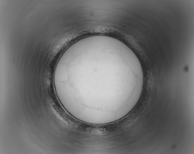 X0000116320683200912221359