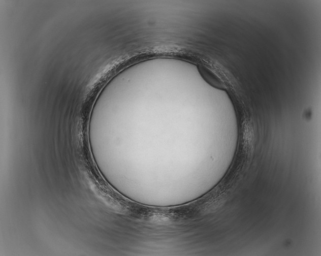 X0000116320684200912221359