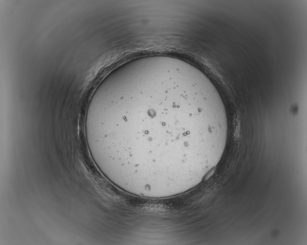 X0000116320685200912221359