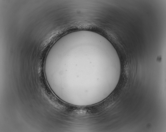 X0000116320687200912221359