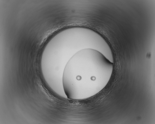 X0000116320688200912221359