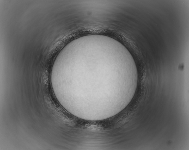 X0000116320689200912221359