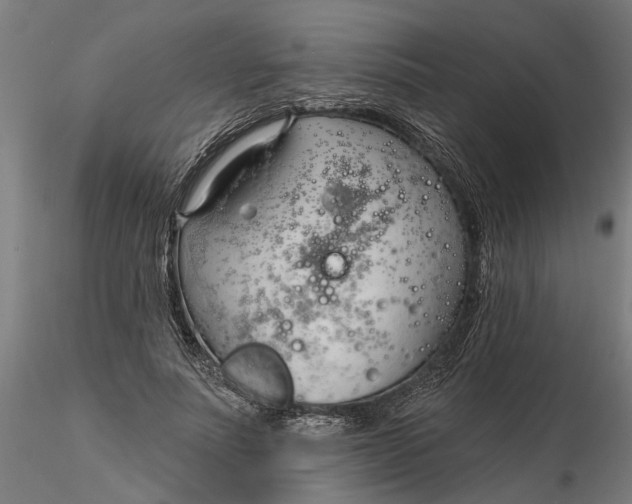 X0000116320691200912221359