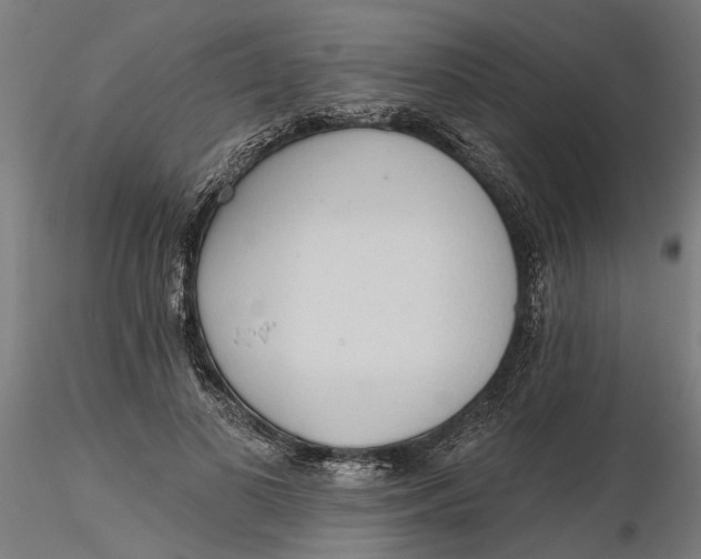 X0000116320693200912221359