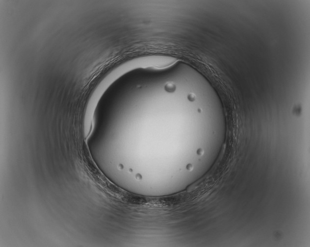 X0000116320696200912221359