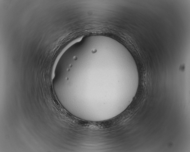 X0000116320697200912221359