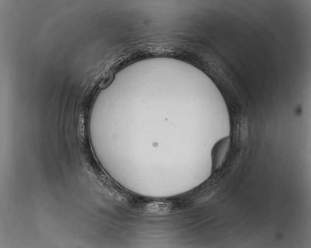 X0000116320700200912221359