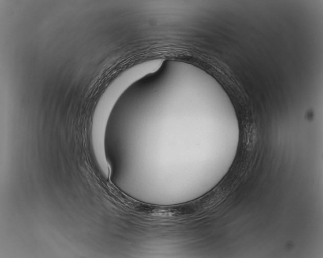 X0000116320701200912221359