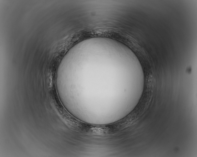 X0000116320703200912221359