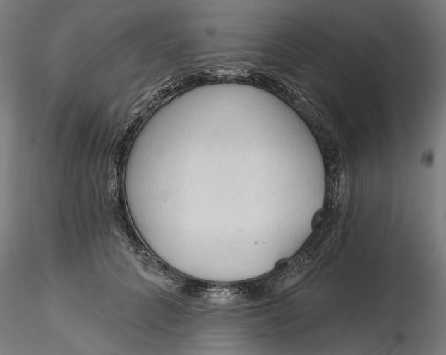 X0000116320704200912221359