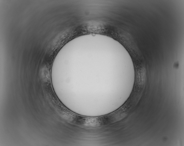 X0000116320705200912221359