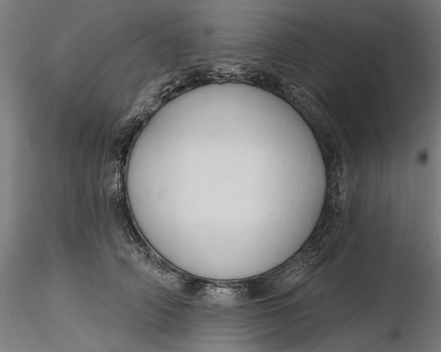 X0000116320706200912221359