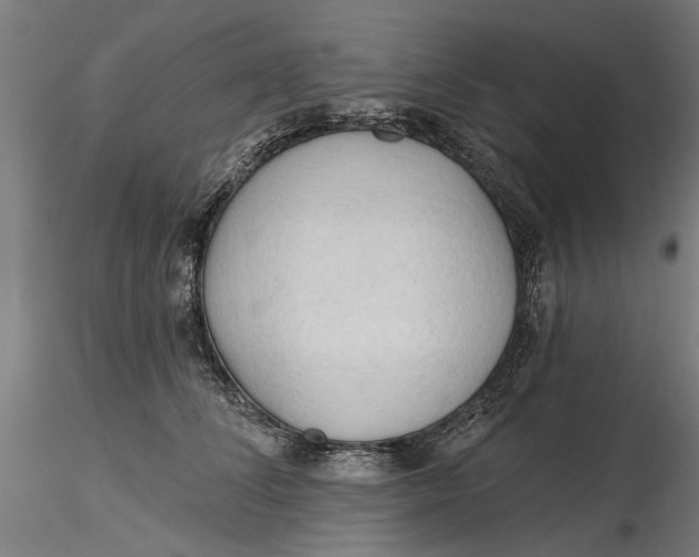 X0000116320708200912221359