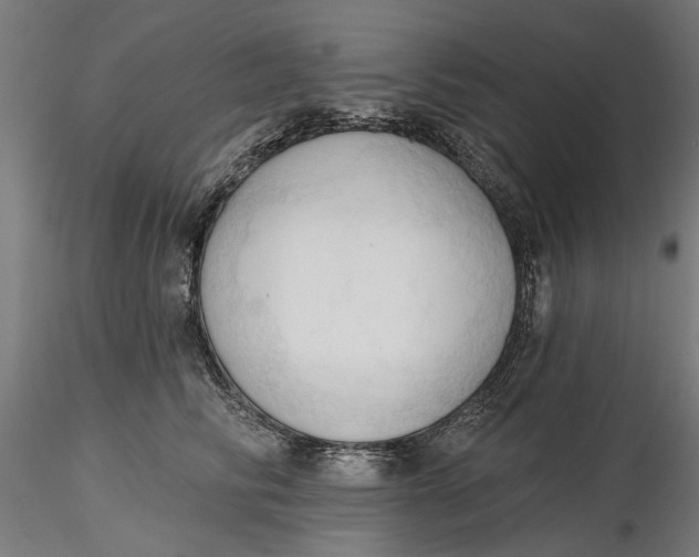 X0000116320710200912221359