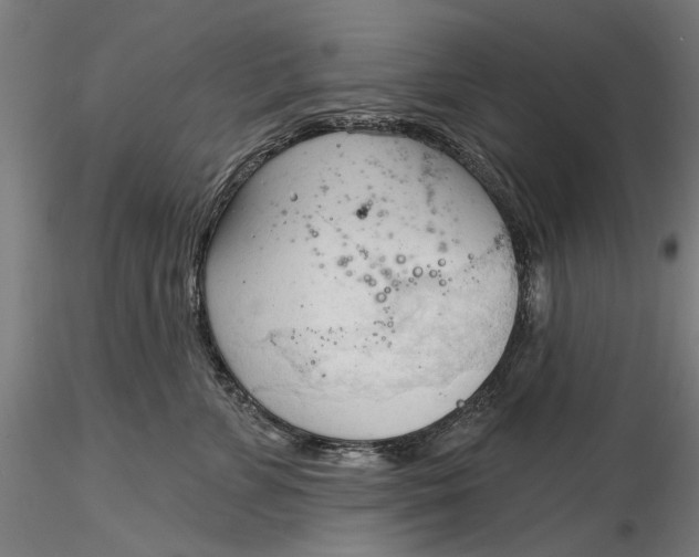 X0000116320715200912221359