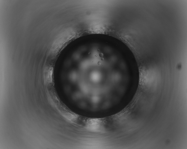 X0000116320717200912221359