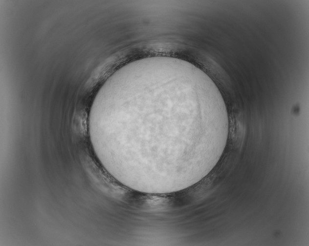 X0000116320718200912221359