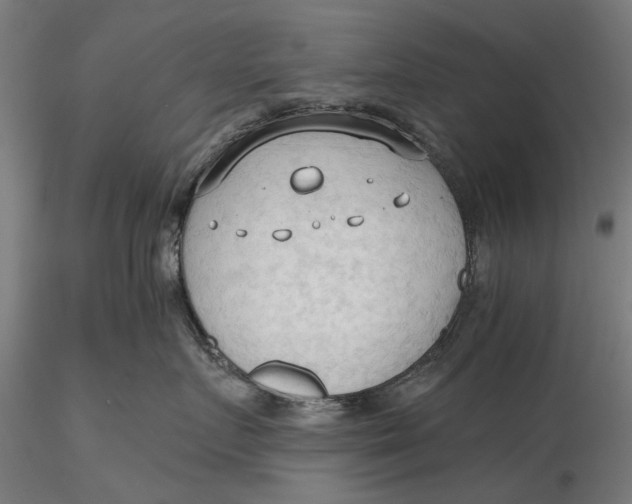 X0000116320719200912221359