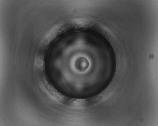 X0000116320720200912221359