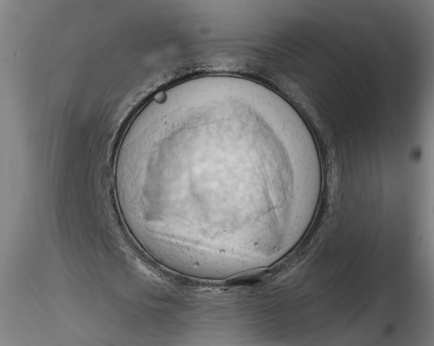 X0000116320721200912221358