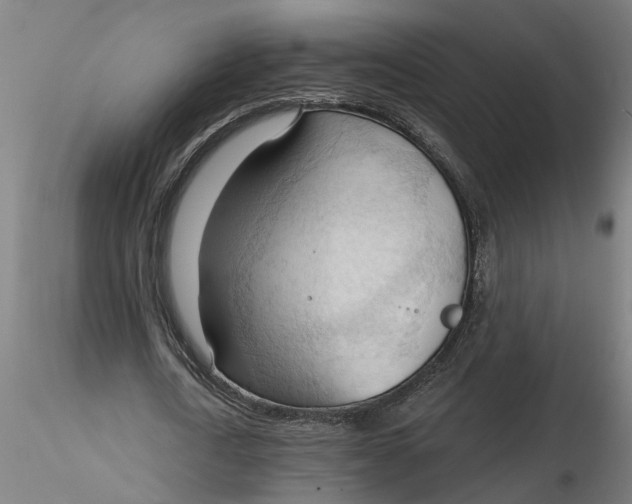 X0000116320722200912221358