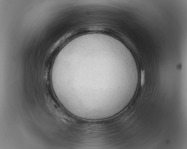 X0000116320723200912221358