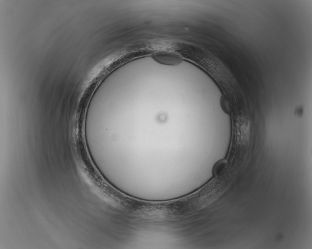 X0000116320726200912221358