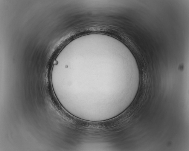 X0000116320727200912221358