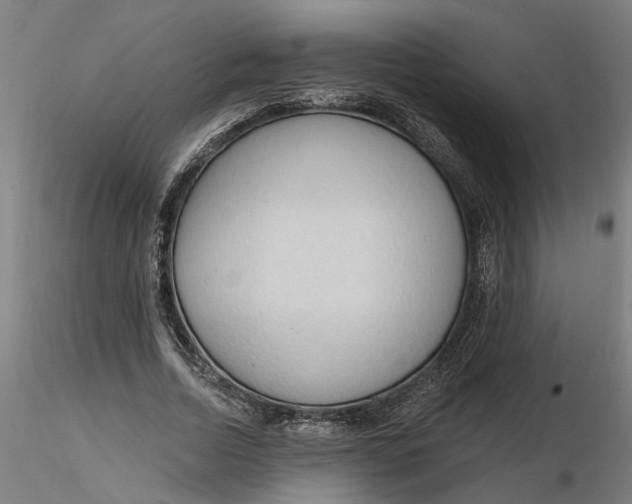 X0000116320730200912221358