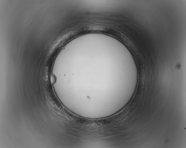 X0000116320731200912221358