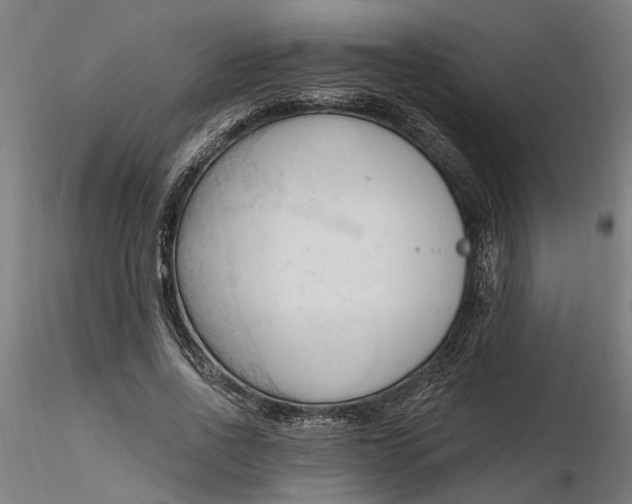 X0000116320734200912221358