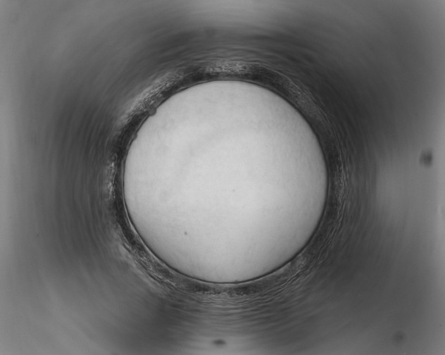 X0000116320735200912221358