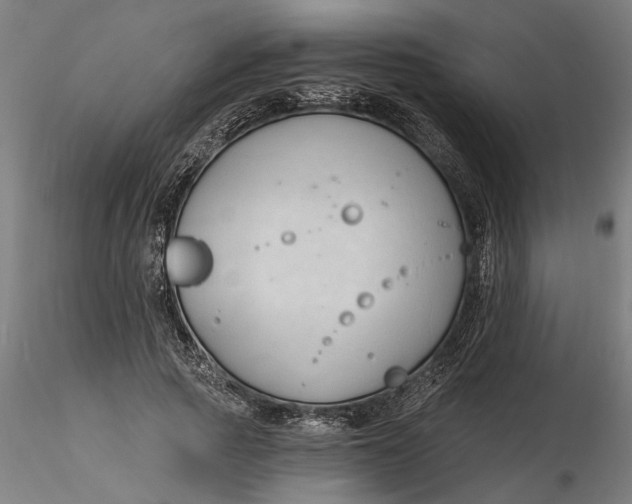 X0000116320737200912221358