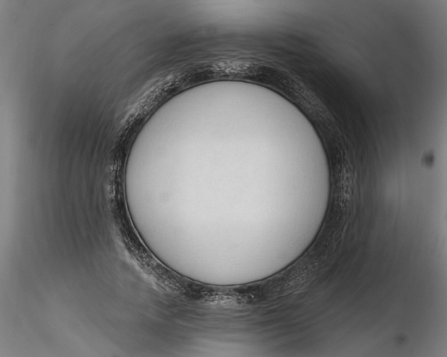 X0000116320738200912221358