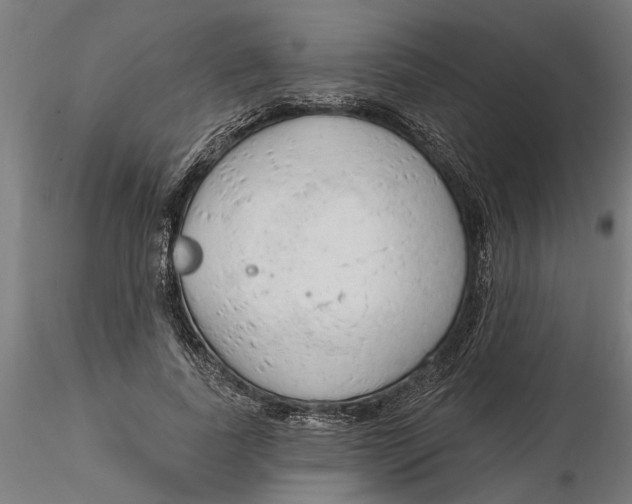 X0000116320739200912221358