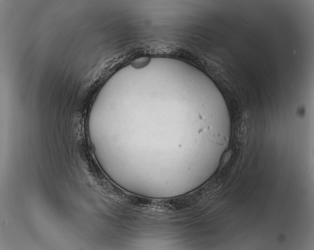 X0000116320743200912221358