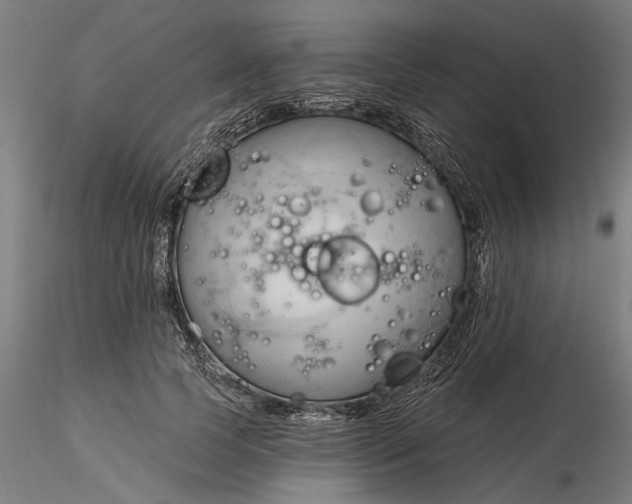 X0000116320745200912221358