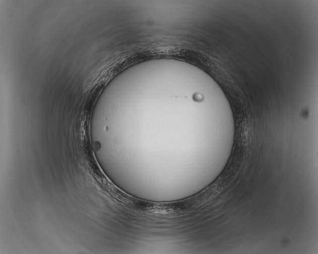 X0000116320746200912221358