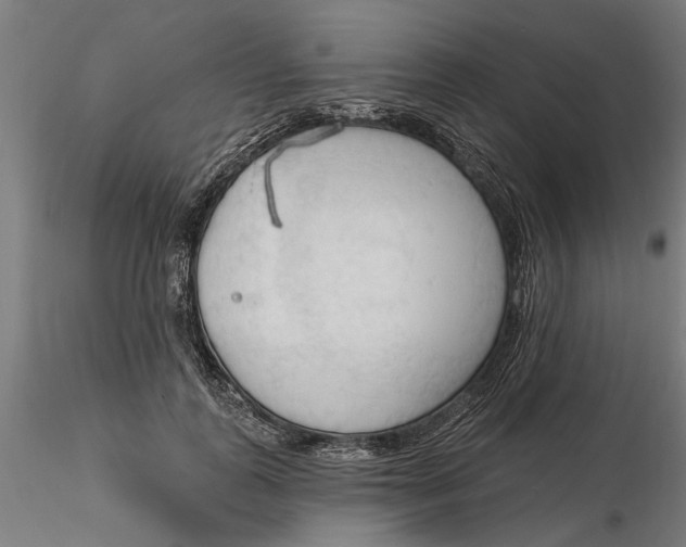 X0000116320747200912221358