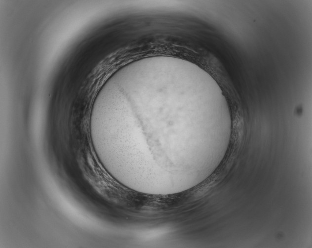 X0000116320765200912221359