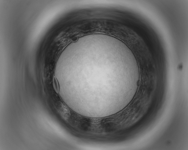 X0000116320766200912221359