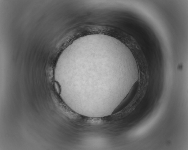 X0000116320767200912221359